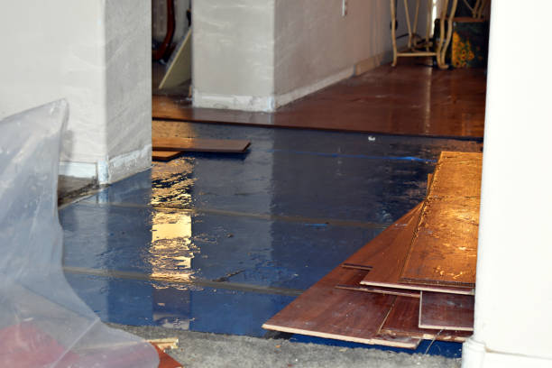 Professional Basement Flood Cleanup technician working in Hemet, CA